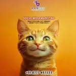 Social Media Marketing: Why Posting Cat Memes Won’t Pay Your Bills